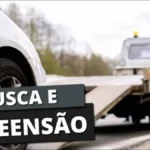 ação de busca e apreensão de veículo